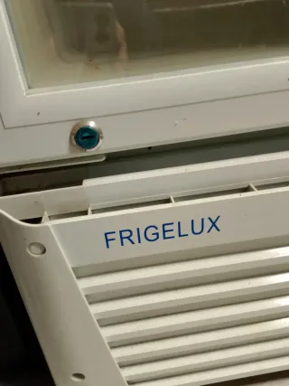 Nevera expositora FrigeluX CF 276ST