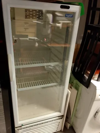 Nevera expositora FrigeluX CF 276ST