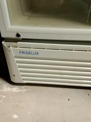 Nevera expositora FrigeluX CF 276ST