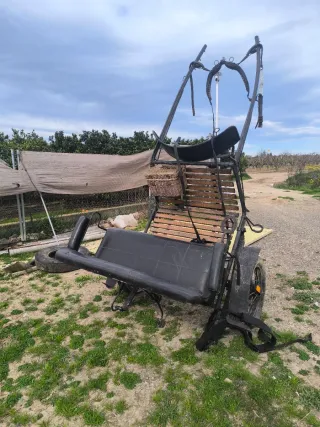 Cabriol de caballo antiguo