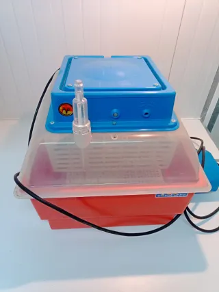 Incubadora automática 24 huevos