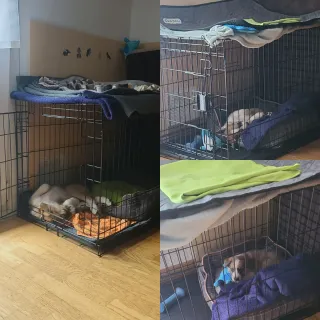 Jaula grande para perros