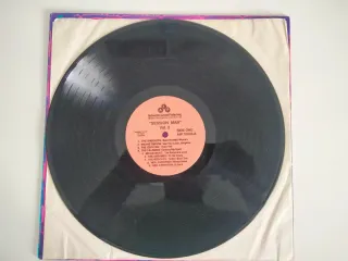 Vinilo LP James Patrick Page Session Man Vol 2