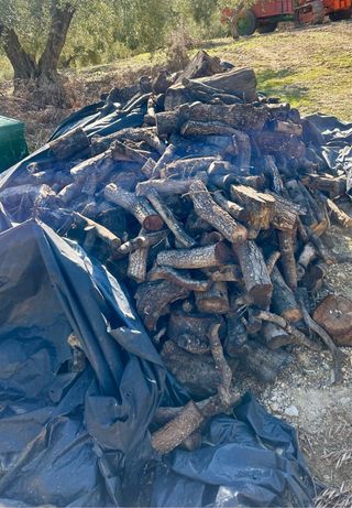 Leña de olivo seca para chimenea