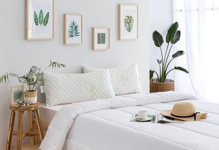 Todocama - Almohada viscoelástica Aloe Vera con Co