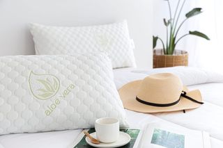 Todocama - Almohada viscoelástica Aloe Vera con Co