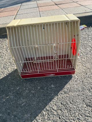 Jaula de concurso beige y roja