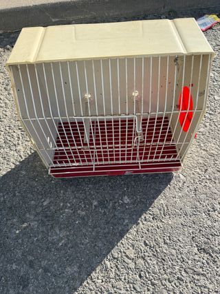 Jaula de concurso beige y roja