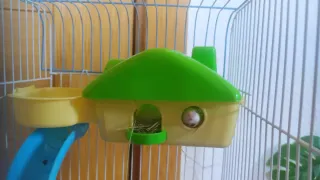 Jaula para hámster, ratón, pájaro