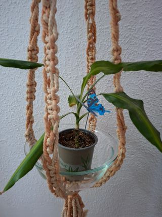 Macetero Colgante Artesanal