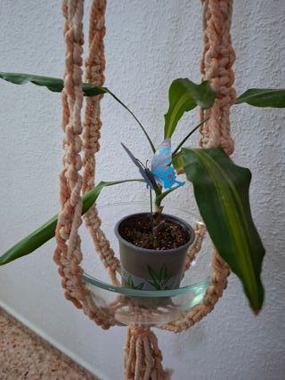 Macetero Colgante Artesanal