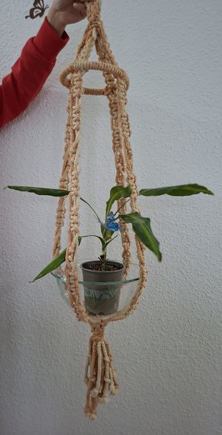 Macetero Colgante Artesanal