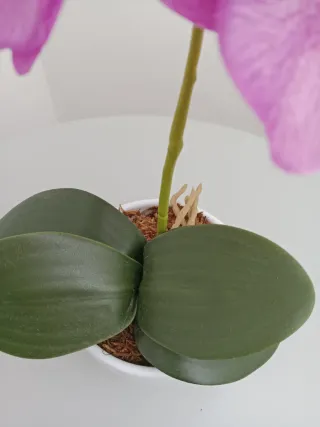 Orquídea Artificial Rosa