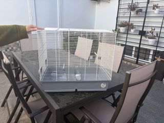 Jaula para pájaros blanca y gris