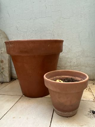 Maceta Grande Terracota