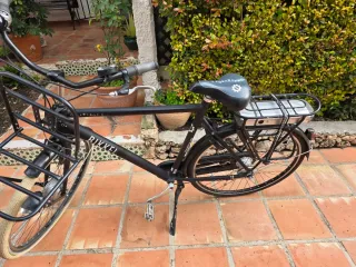 Bicicleta Holandesa Eléctrica bikkel