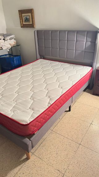 Cama + Colchón Ortopédico