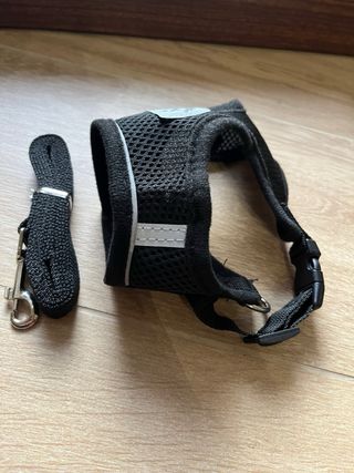 Pettorina per gatto con guinzaglio