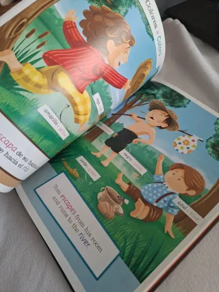 Diccionario Visual Tom Sawyer. Pirate. El Cuerp...