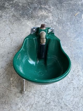 Bebedero automático verde