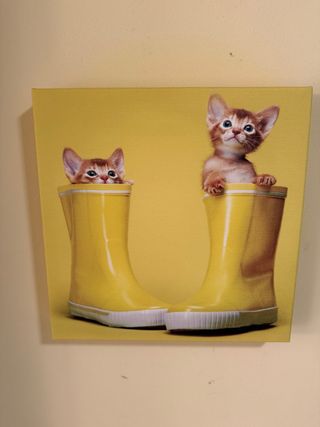 Tela cameretta colorata