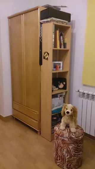 Armario de pino macizo