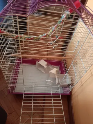 Jaula grande pájaros, ninfas, agapornis