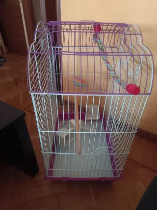 Jaula grande pájaros, ninfas, agapornis