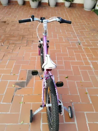 Bicicleta Niña Trek Morada Ruedines