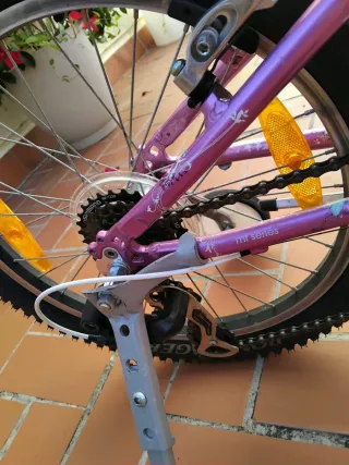 Bicicleta Niña Trek Morada Ruedines
