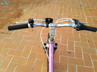Bicicleta Niña Trek Morada Ruedines