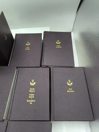 Los premios Nobel de Literatura 5€ unidad