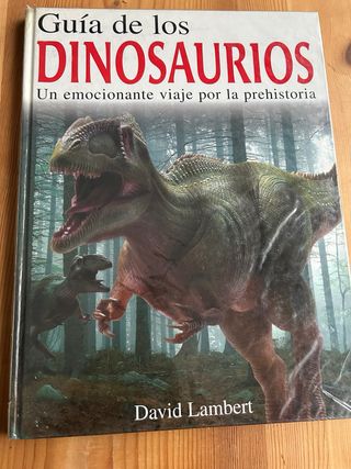 Lote libros dinosaurios