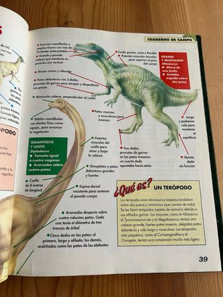 Lote libros dinosaurios