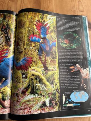 Lote libros dinosaurios