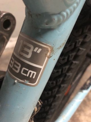 Bicicleta Trek Azul Niña