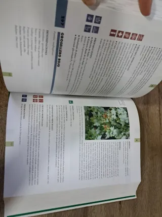 Gran enciclopedia de las plantas medicinales
