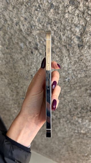 iPhone 13 Pro Max 256GB Blanco