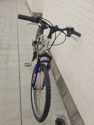 Bicicleta Aluminio Unisex