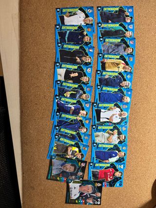 Lote Entrenadores Adrenalyn 24-25