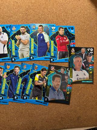 Lote Entrenadores Adrenalyn 24-25