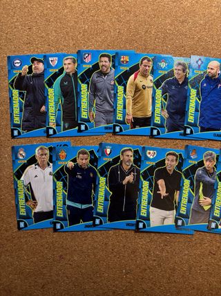 Lote Entrenadores Adrenalyn 24-25