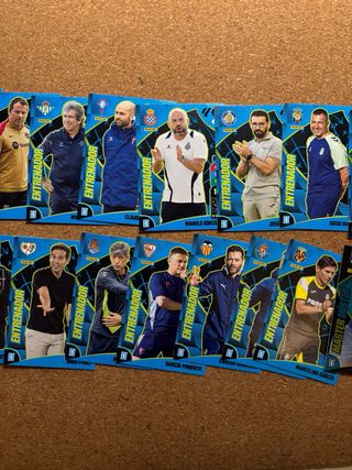 Lote Entrenadores Adrenalyn 24-25