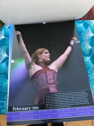 Calendario Scissor Sisters 2008