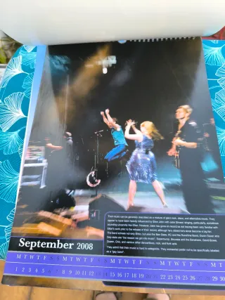 Calendario Scissor Sisters 2008