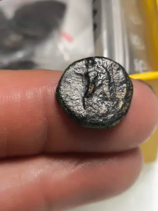 Moneda Romana Pisidia Perge Tiberio