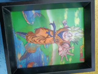 Cuadros Dragon Ball Z 3D