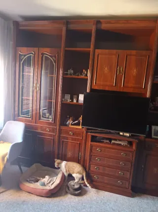 Mueble librería salón madera y cristal