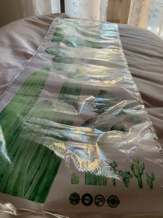 Adesivi Murali Cactus