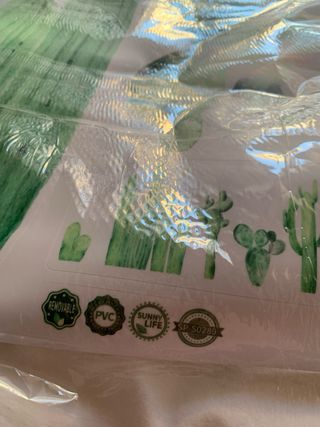 Adesivi Murali Cactus